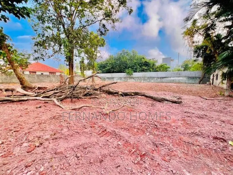 Valuable Near Bus Road 33 Perches Land For Sale In Daluwakotuwa Negomb