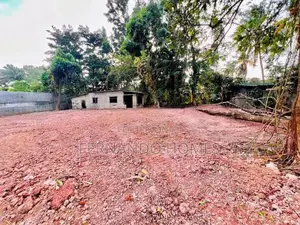 Valuable Near Bus Road 33 Perches Land For Sale In Daluwakotuwa Negomb
