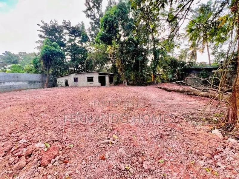 Valuable Near Bus Road 33 Perches Land For Sale In Daluwakotuwa Negomb