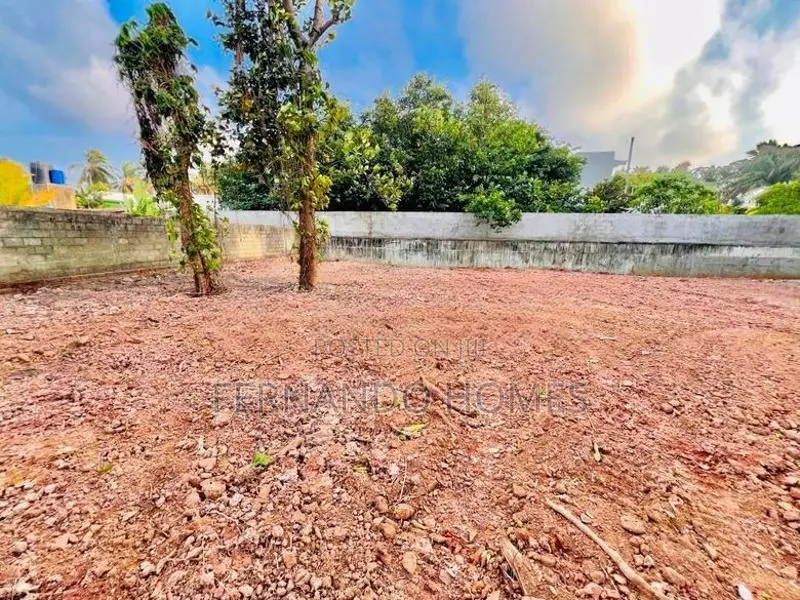 Valuable Near Bus Road 33 Perches Land For Sale In Daluwakotuwa Negomb