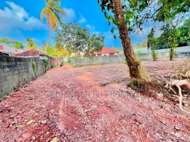 Valuable Near Bus Road 33 Perches Land For Sale In Daluwakotuwa Negomb