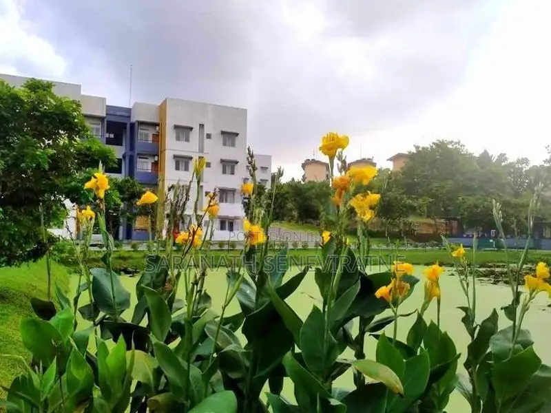3 Bedrooms Apartments From GREEN VALLEY For Sale In Panagoda Homagama