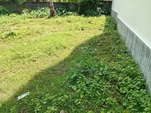 Valuable Land of 12.5 Perches is for Rent in Boralesgamuwa