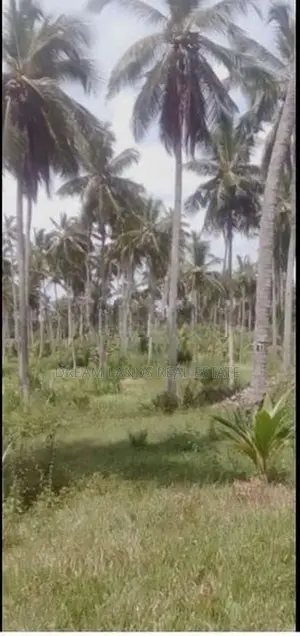 COCONUT LAND FOR SALE IN KURUNAGALA (SP459)
