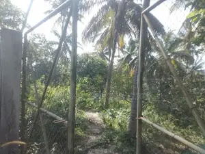 COCONUT LAND FOR SALE IN KURUNAGALA (SP459)