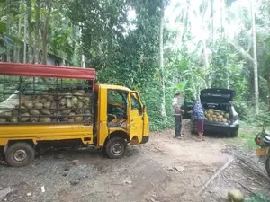 COCONUT LAND FOR SALE IN KURUNAGALA (SP459)