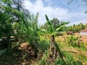 Highway පිවිසුමට ළගින් ඉඩමක්