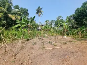 වේයන්ගොඩ නගරයට හා දුම්රිය පොලට ළගින් ඉඩමක්
