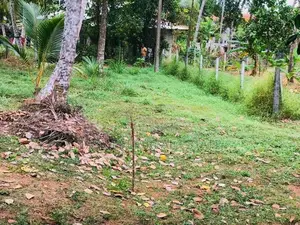 Land for Sale in Batapotha