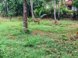 Land for Sale in Batapotha
