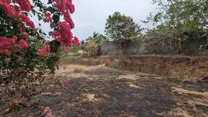 Land for sale in Ragama
