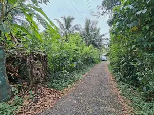 Land for Sale Cultivation, Hanwella, Waga. (ID : HNWL001)