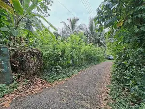 Land for Sale Cultivation, Hanwella, Waga. (ID : HNWL001)
