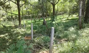 Income-Generating 40 Perch Durian Land in Hanwella | SL14764