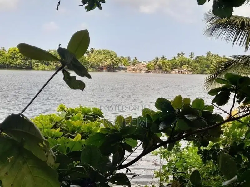 Bolgoda Lake Facing Land for Sale Panadura