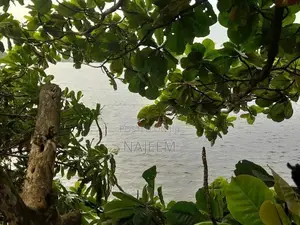Bolgoda Lake Facing Land for Sale Panadura