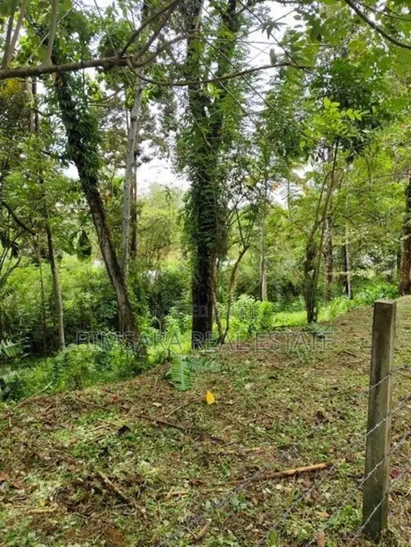 Income-Generating 44.4 Perch Rambutan Land in Hanwella | SL14765