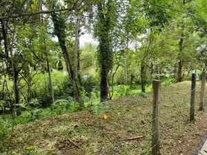 Income-Generating 40 Perch Durian Land in Hanwella | SL14764