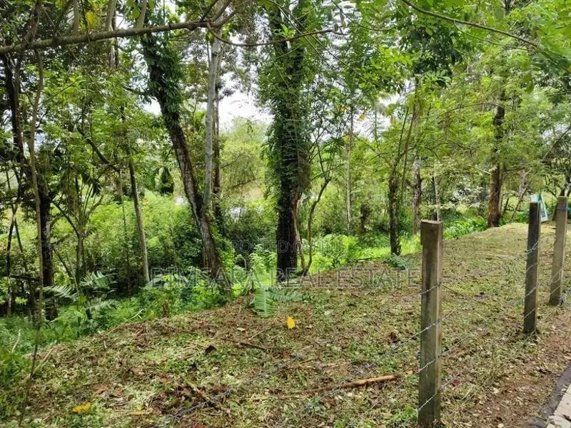 Income-Generating 40 Perch Durian Land in Hanwella | SL14764