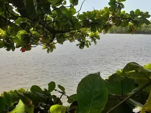 Bolgoda Lake Facing Land for Sale Panadura
