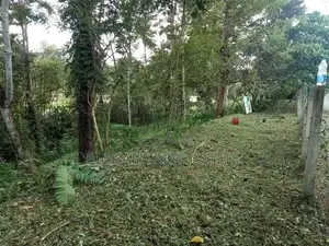 Income-Generating 44.4 Perch Rambutan Land in Hanwella | SL14765