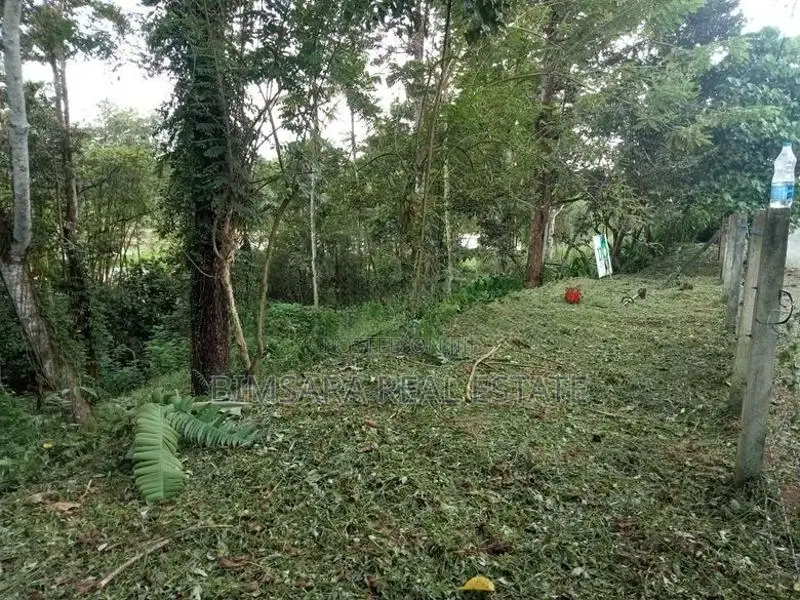 Income-Generating 44.4 Perch Rambutan Land in Hanwella | SL14765