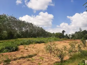 Avissawella : 3 Acres Flat Land for Sale at Colombo Lane