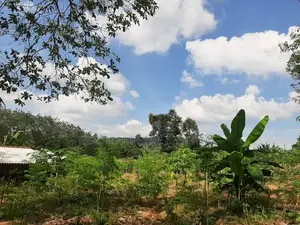 Avissawella : 3 Acres Flat Land for Sale at Colombo Lane
