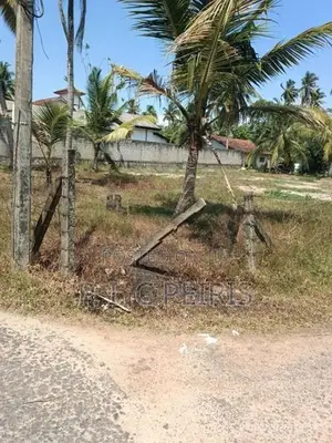 Land For Sale Thibirigaskatuwa Negombo Gampaha