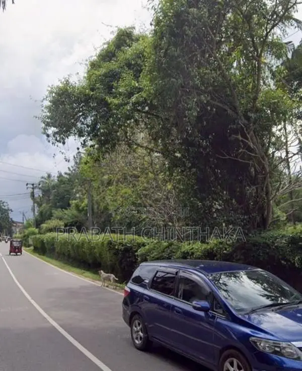Land for Rent in Ganemulla ( kadawatha road facing )