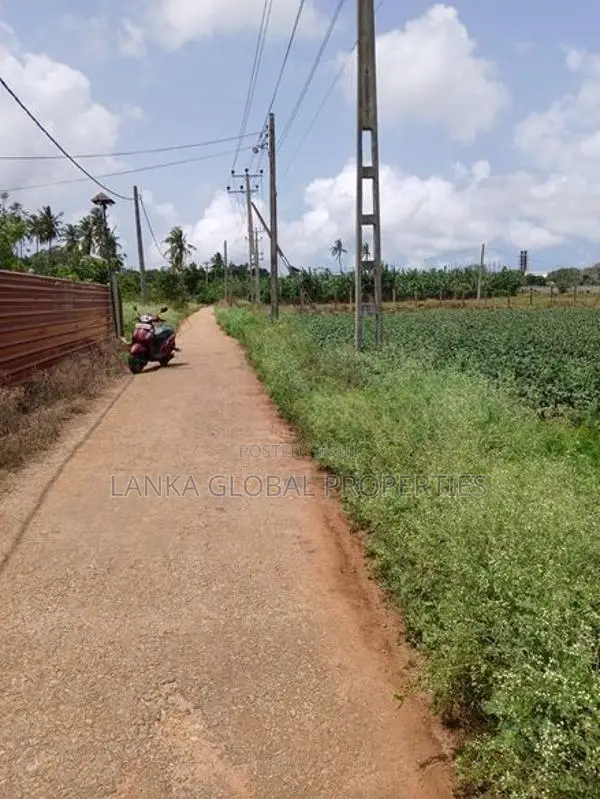 Land for Sale Chunnakam