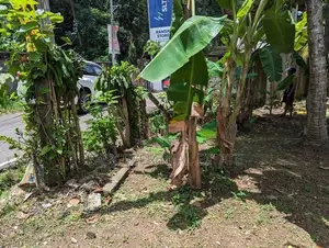 රාගම ලංකා මාතා පාරට මුහුණලා බිම්කොටසක්
