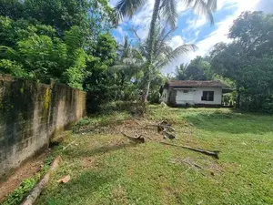 Land for Sale in Udammita