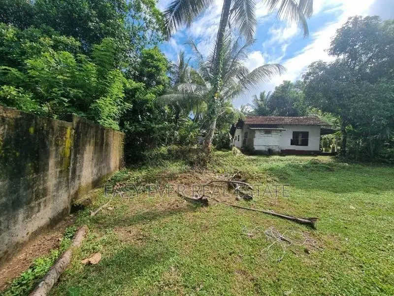 Land for Sale in Udammita