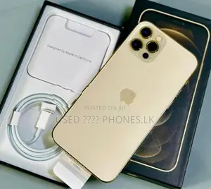 Apple iPhone 12 Pro Max 256GB | Gold (Used)
