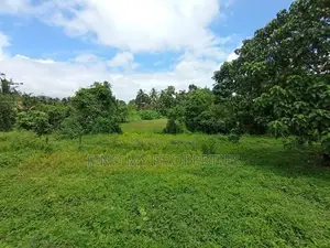 Land for Sale in Halbarawa Gardens, Thalahena