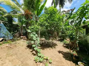 Minuwangoda House for Sale