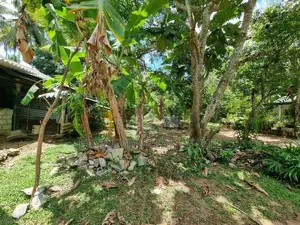 Minuwangoda House for Sale