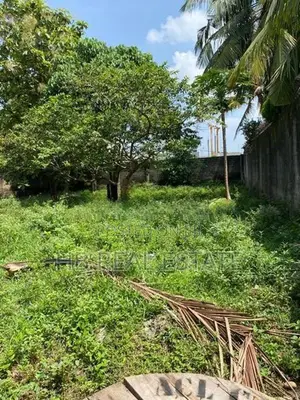25.5 Perches Residential Bare Land For Sale Rajagiriye
