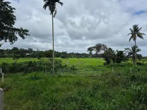 53.5 P Residential Paddy Field Facing Bare Land Udawatta