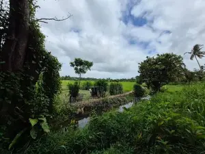 53.5 P Residential Paddy Field Facing Bare Land Udawatta