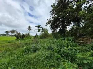 53.5 P Residential Paddy Field Facing Bare Land Udawatta