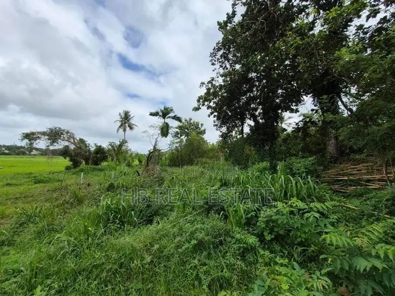 53.5 P Residential Paddy Field Facing Bare Land Udawatta