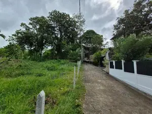 53.5 P Residential Paddy Field Facing Bare Land Udawatta