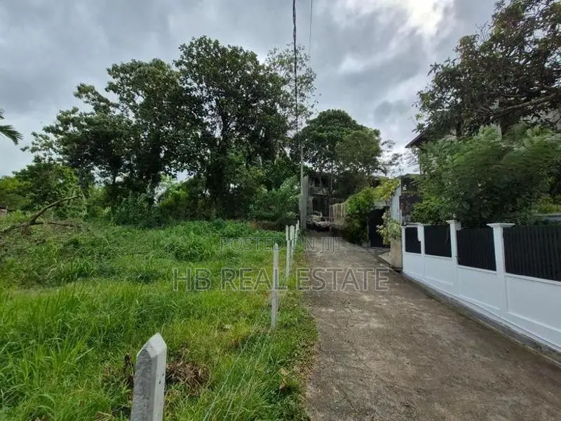 53.5 P Residential Paddy Field Facing Bare Land Udawatta
