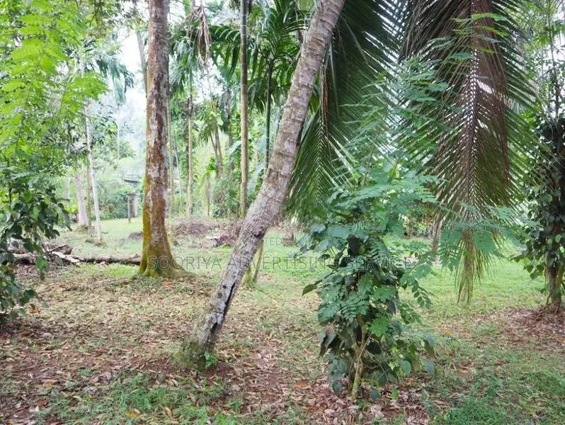 Kosgama Land for Sale