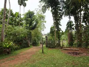 Kosgama Land for Sale