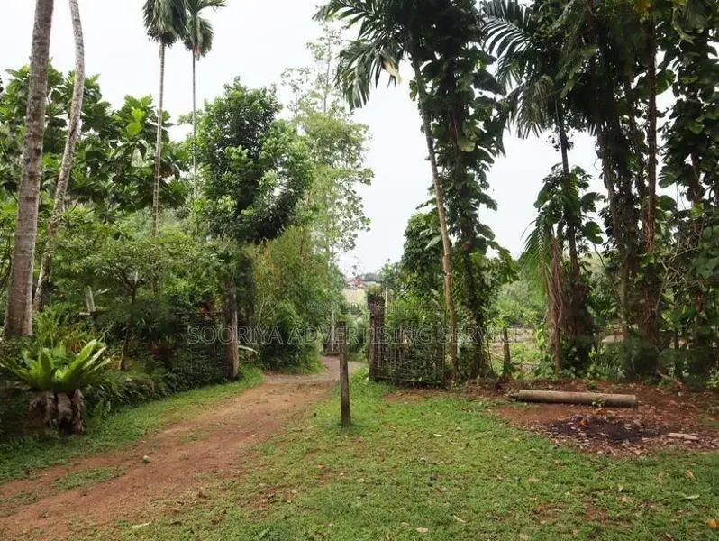 Kosgama Land for Sale