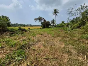 Paddy Field Facing Bare Land for Sale Malabe