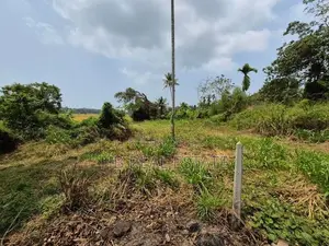 Paddy Field Facing Bare Land for Sale Malabe